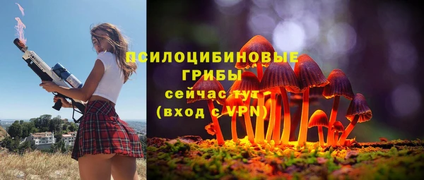 ПСИЛОЦИБИНОВЫЕ ГРИБЫ Михайловск