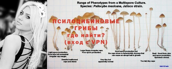 винт Навашино